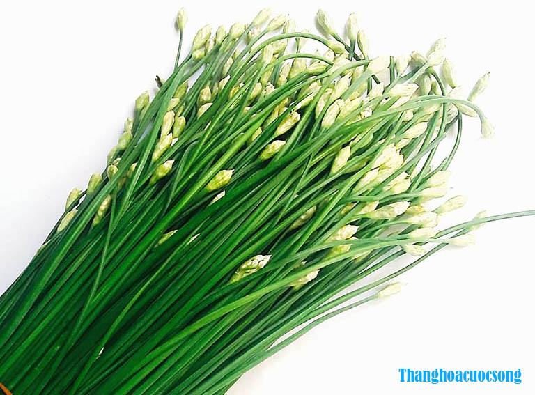 Chữa quan hệ nhanh ra bằng lá hẹ