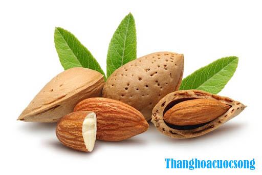 Thực phẩm trị xuất tinh sớm tại nhà hiệu quả