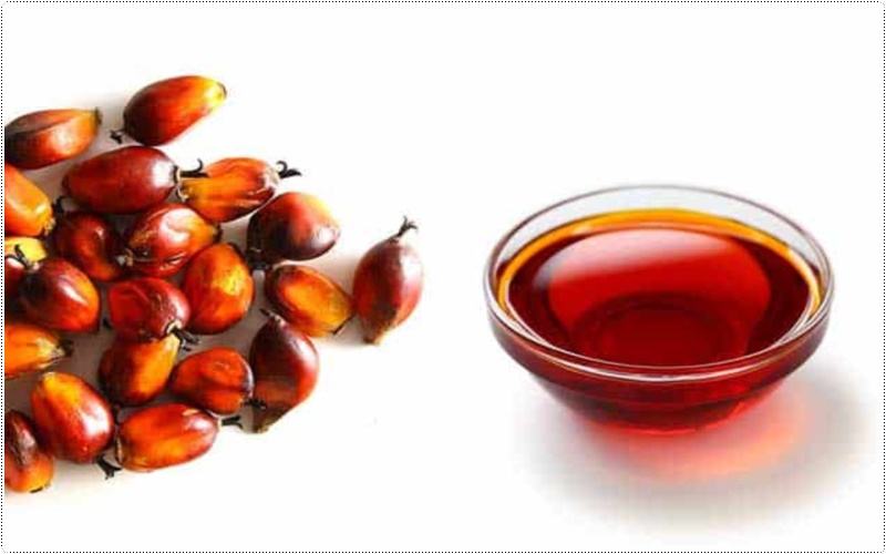 dầu cọ dừa (paim oil)