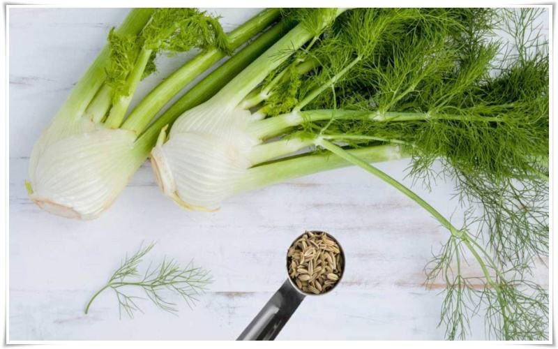 các thực phẩm tăng vòng 1