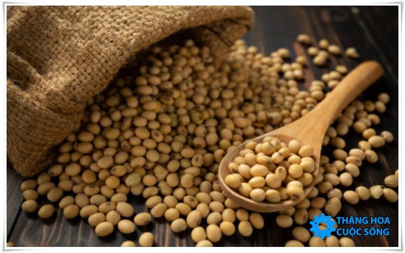 Cải thiện vòng 1 lép sau sinh bằng đậu nành