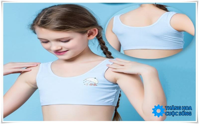 Vòng 1 phát triển đến năm bao nhiêu tuổi