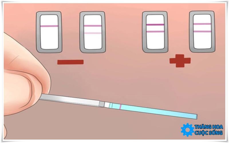 Cách dùng que thử rụng trứng