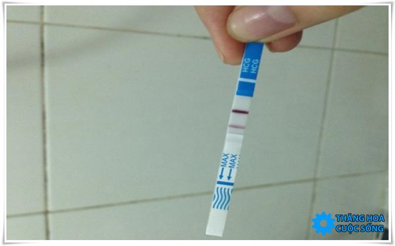 xem kết quả que thử rụng trứng