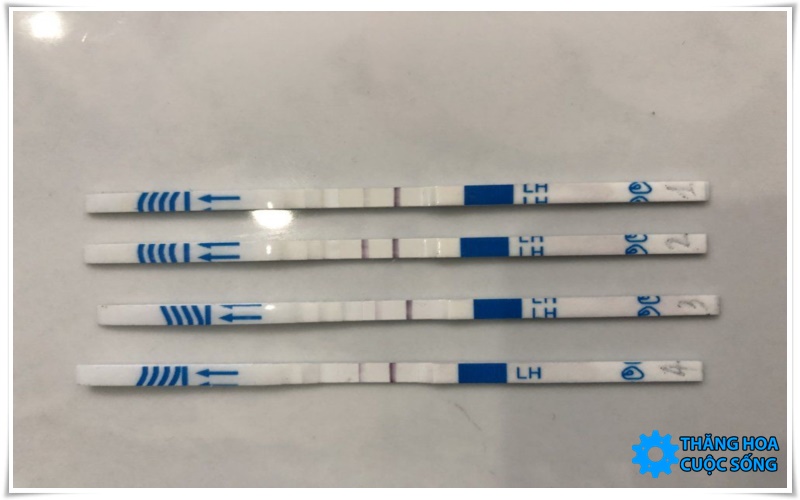 que thử rụng trứng 2 vạch