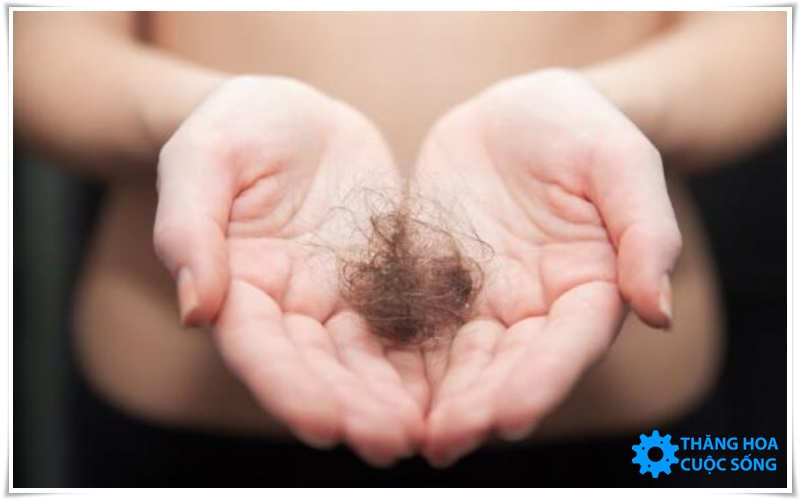 cạo lông vùng kín