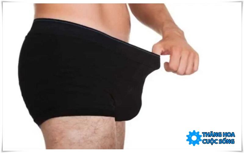 đường kính của dương vật