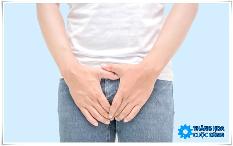 do-dai-trung-binh-cau-nho-Viet-Nam