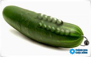 Gắn bi dương vật