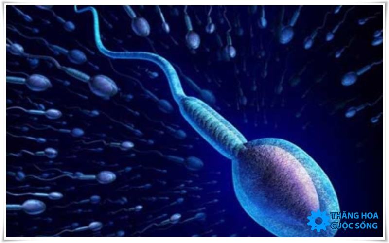 Tinh trùng vào trong vùng kín