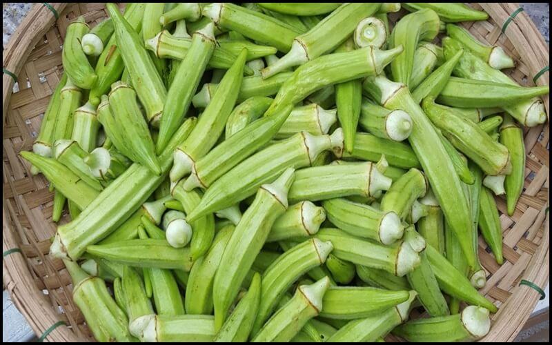 đậu bắp giúp cương lâu