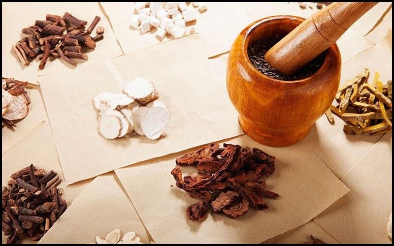 những thảo dược giúp nở ngực