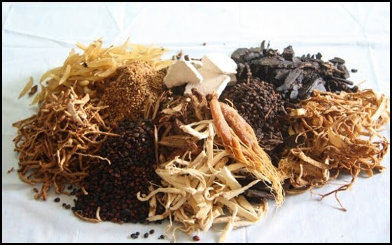 thảo dược tăng vòng 1