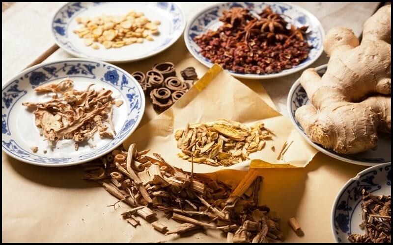 thuốc đông y tăng vòng 1