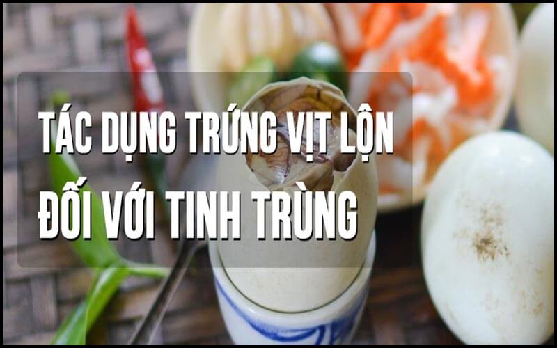 Tác dụng của trứng vịt lộn với nam giới