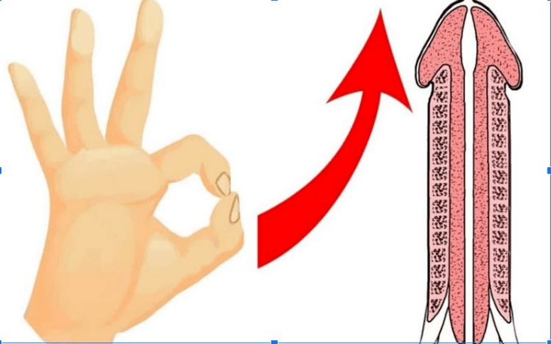 cách massage cậu nhỏ