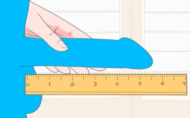 cach-do-chieu-dai-duong-vat