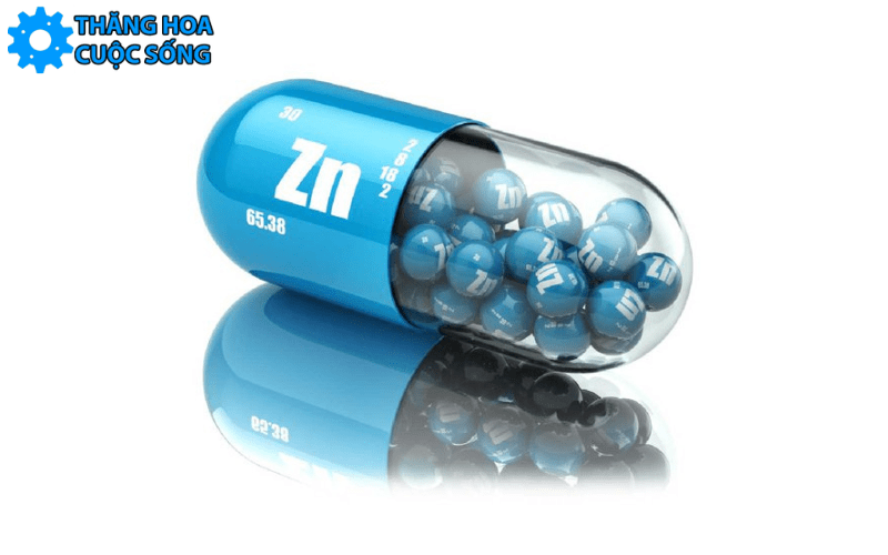 ăn gì để tinh trùng mạnh