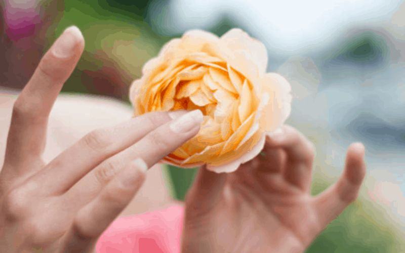 Cách điều trị âm đạo khít