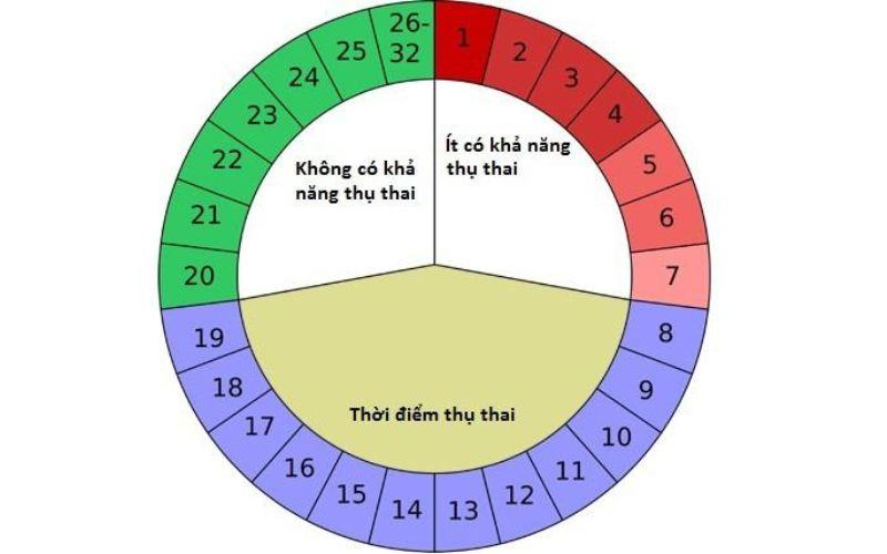 Cách tính ngày rụng trứng tránh có thai