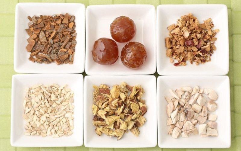 Bài thuốc đông y làm to ngực