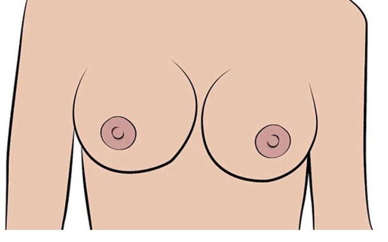 Tiêu chuẩn nhũ hoa đẹp