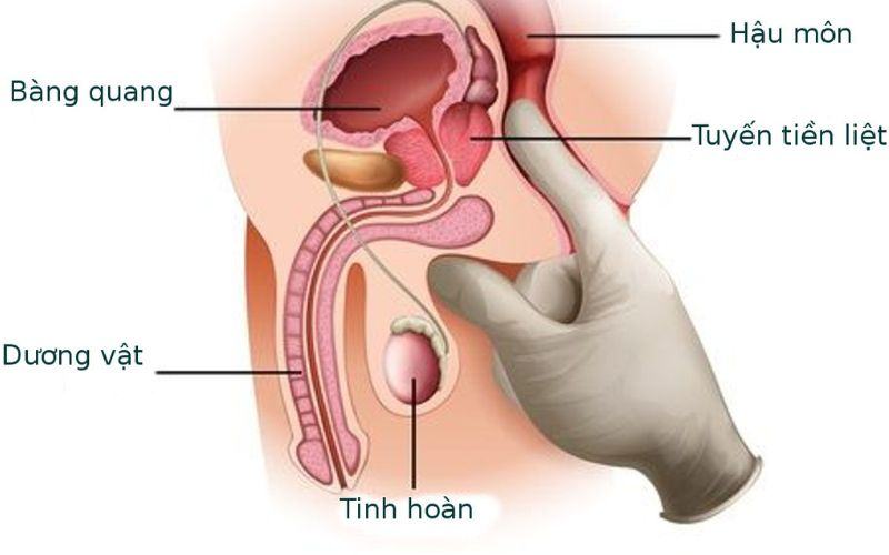 7 vị trí kích thích khiến chàng phát điên