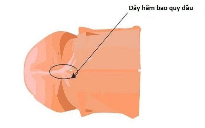 7 điểm kích thích khiến chàng phát điên